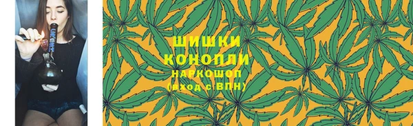 ешки Гатчина