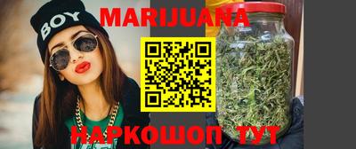 сатива Малгобек