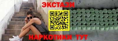 крисы Можга