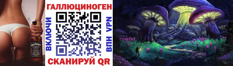 mega как войти  где купить наркоту  Ишим  Галлюциногенные грибы MAGIC MUSHROOMS 