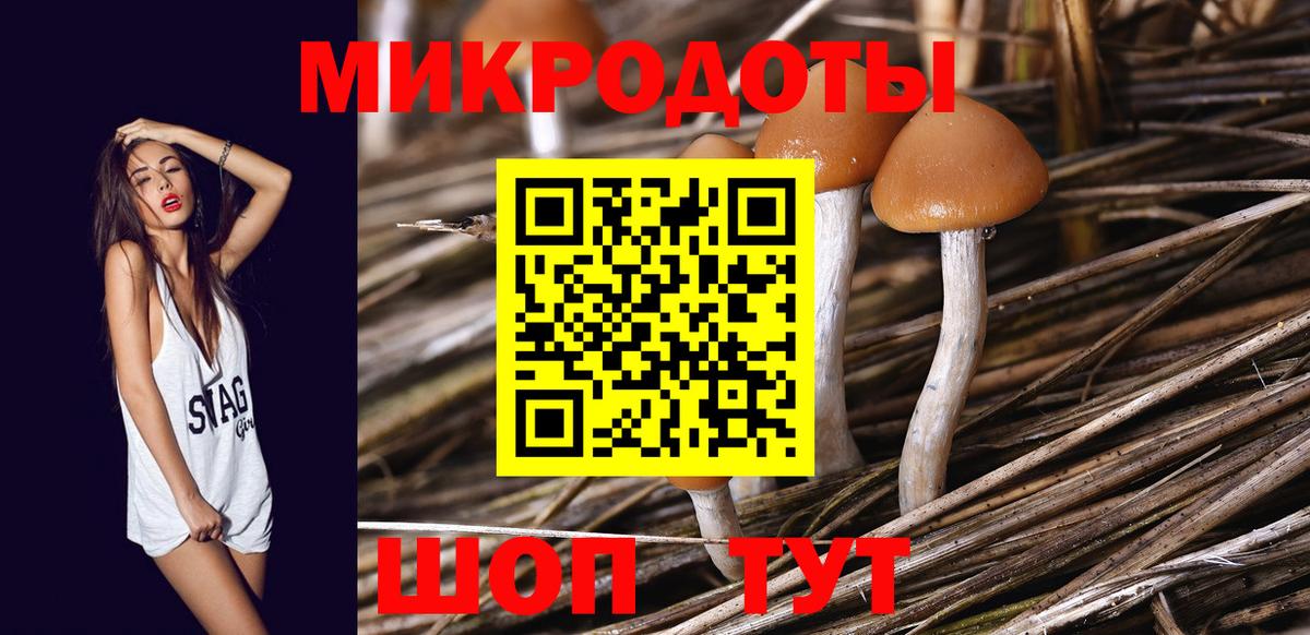 Галлюциногенные грибы мухоморы Ишим